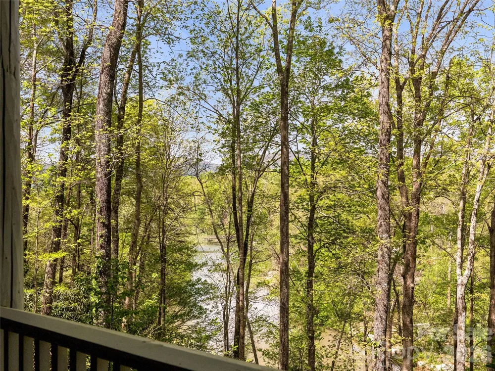 4004 Lake Adger Parkway Mill Spring, NC 28756