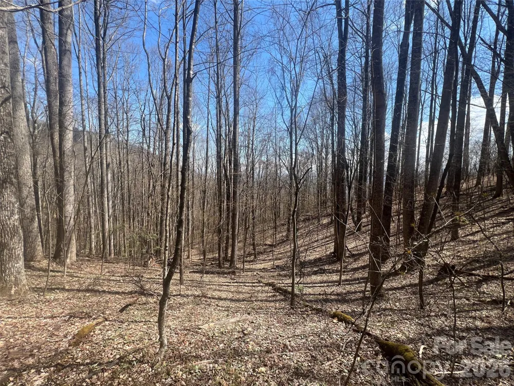 200 Wolverine Court #44 Waynesville, NC 28785