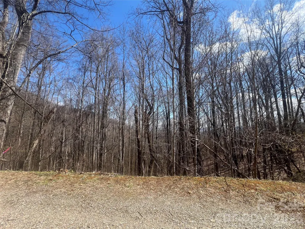 200 Wolverine Court #44 Waynesville, NC 28785