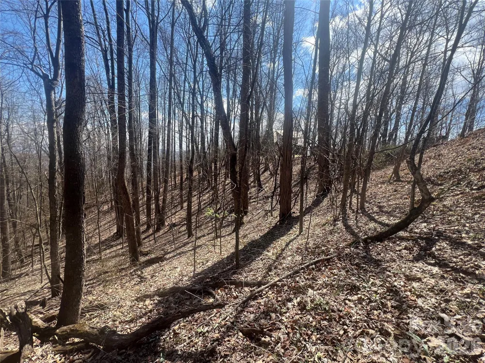 200 Wolverine Court #44 Waynesville, NC 28785