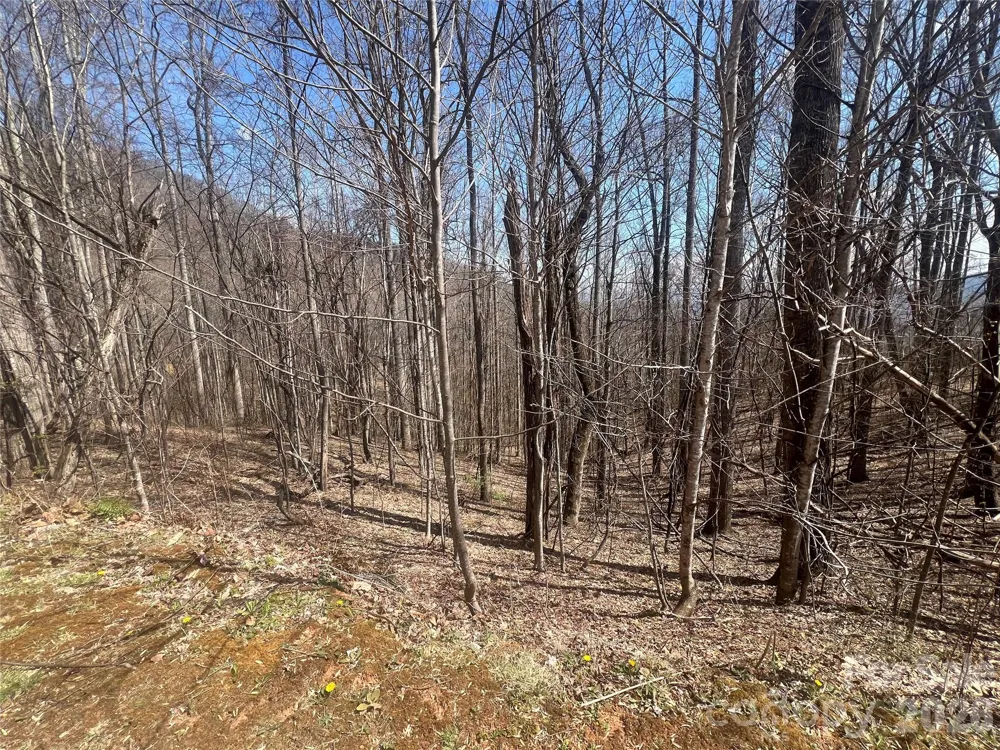 200 Wolverine Court #44 Waynesville, NC 28785