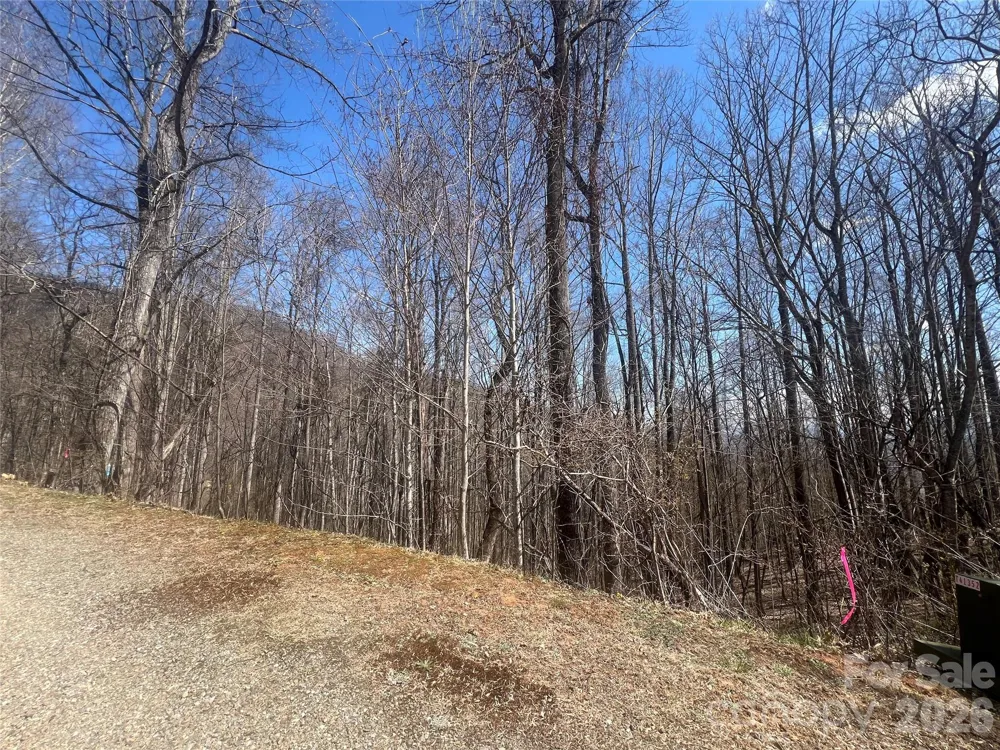 200 Wolverine Court #44 Waynesville, NC 28785