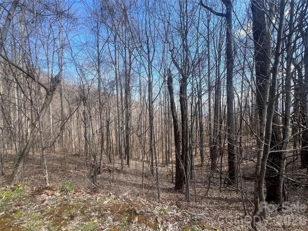 200 Wolverine Court #44 Waynesville, NC 28785