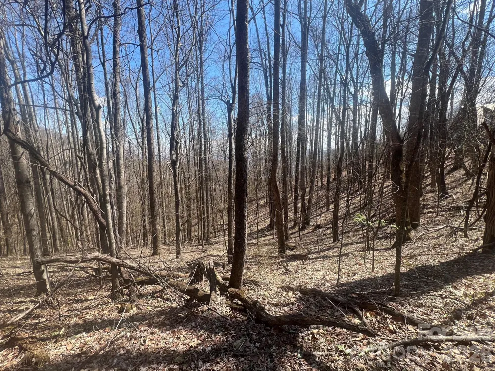 200 Wolverine Court #44 Waynesville, NC 28785
