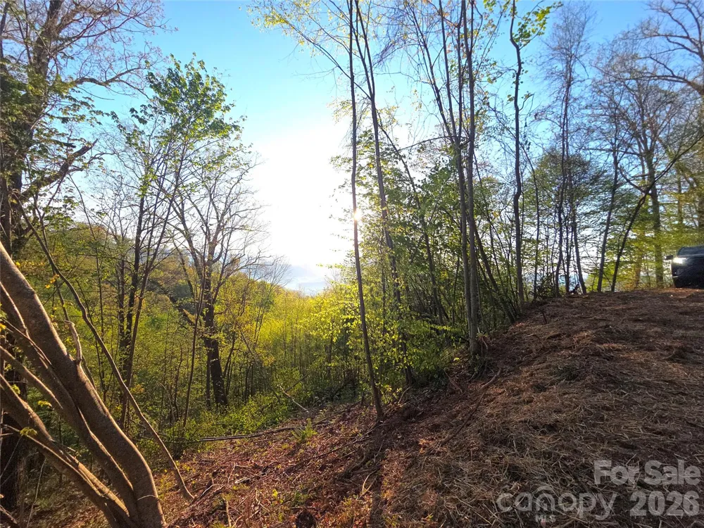 3355 Utah Mountain Road #3-F Waynesville, NC 28785