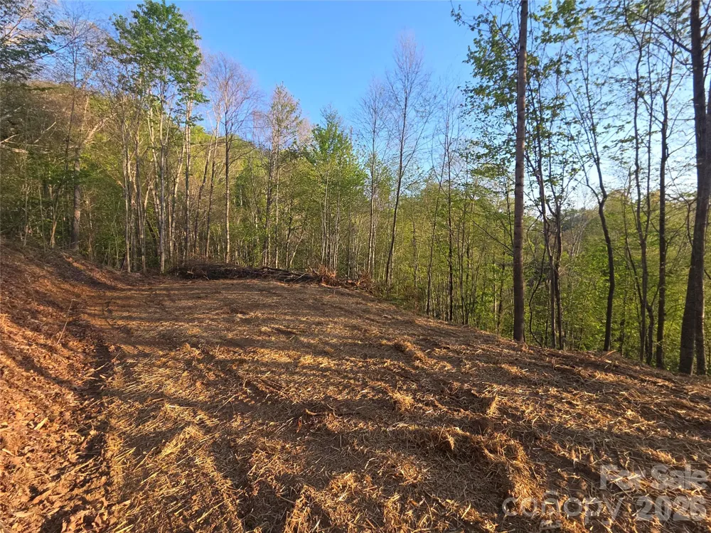 3355 Utah Mountain Road #3-F Waynesville, NC 28785