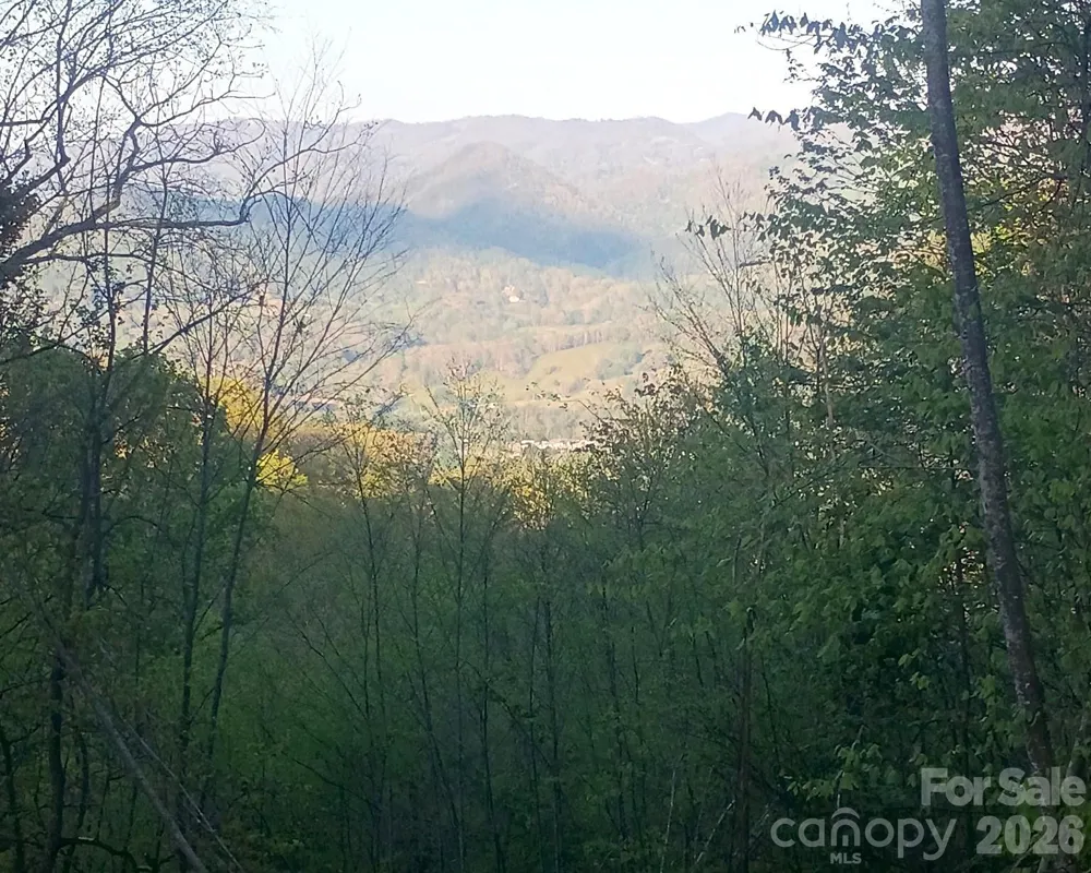 3355 Utah Mountain Road #3-F Waynesville, NC 28785