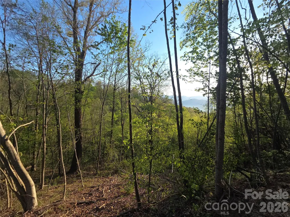 3355 Utah Mountain Road #3-F Waynesville, NC 28785