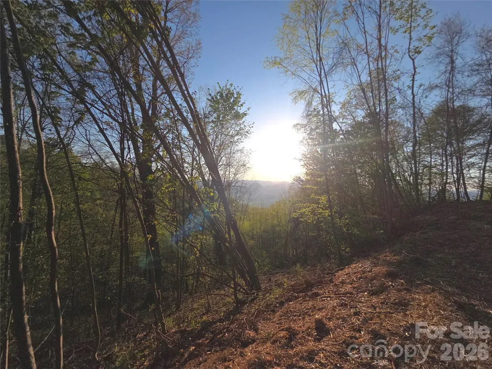3355 Utah Mountain Road #3-F Waynesville, NC 28785