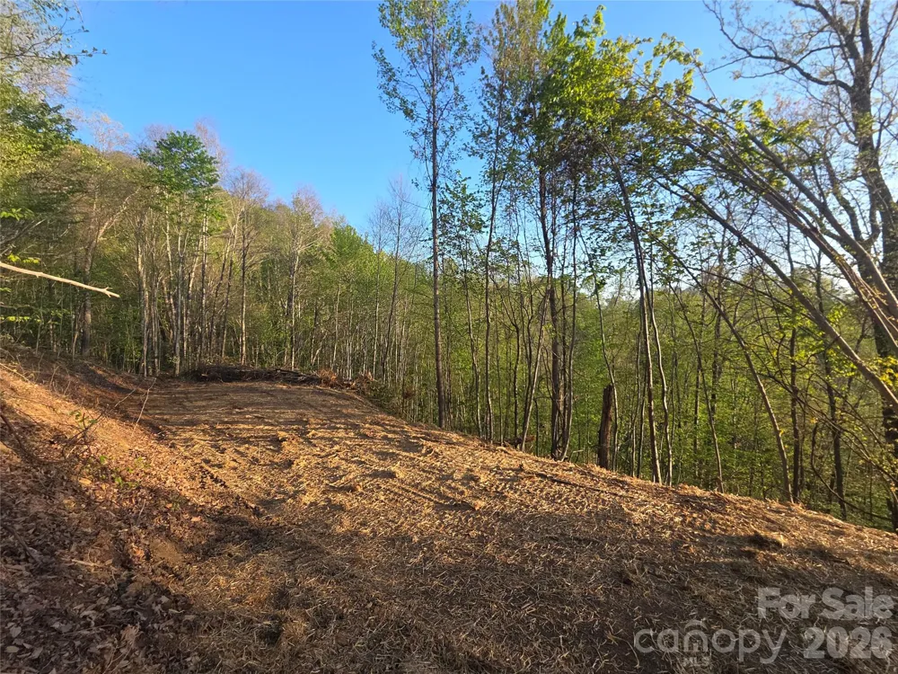 3355 Utah Mountain Road #3-F Waynesville, NC 28785
