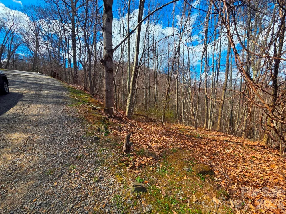 3355 Utah Mountain Road #3-F Waynesville, NC 28785
