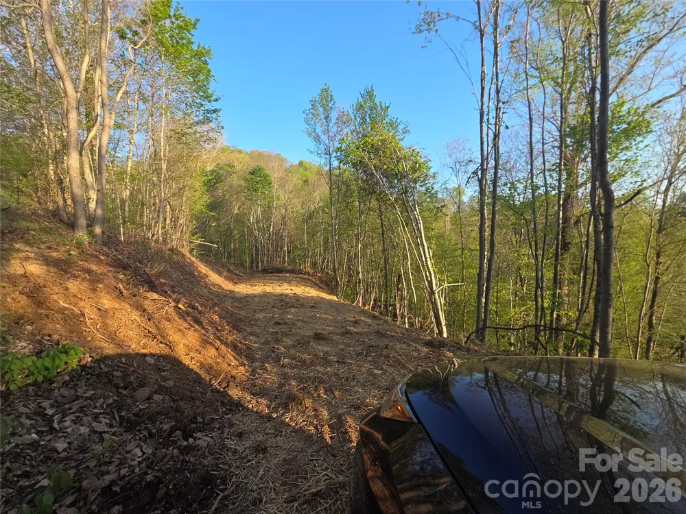 3355 Utah Mountain Road #3-F Waynesville, NC 28785