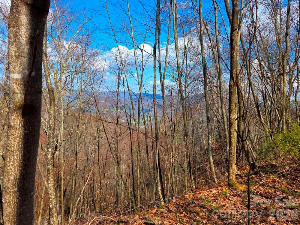 3355 Utah Mountain Road #3-F Waynesville, NC 28785