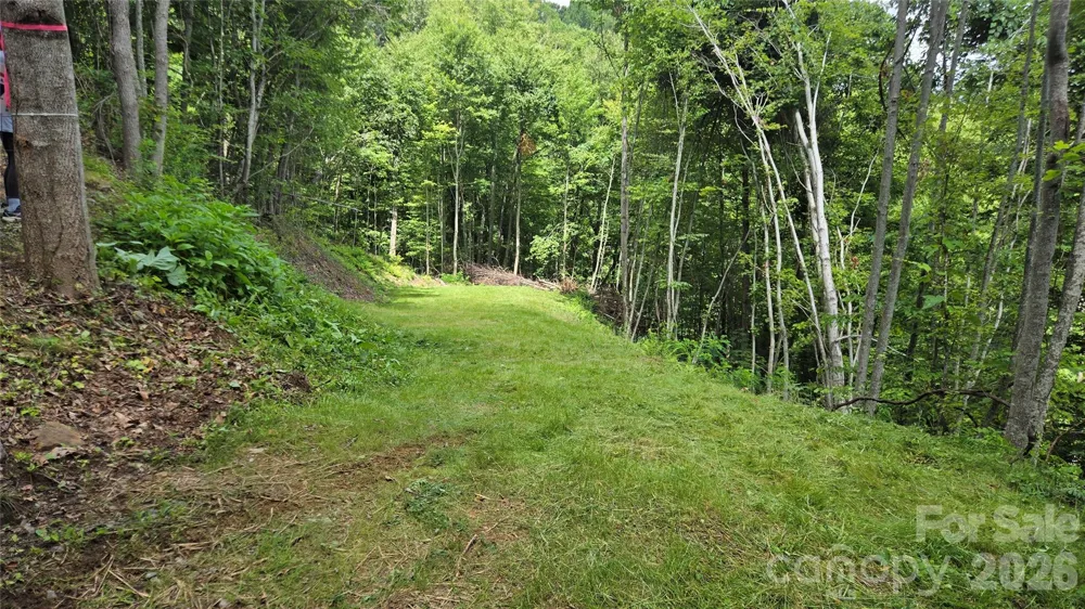 3355 Utah Mountain Road #3-F Waynesville, NC 28785