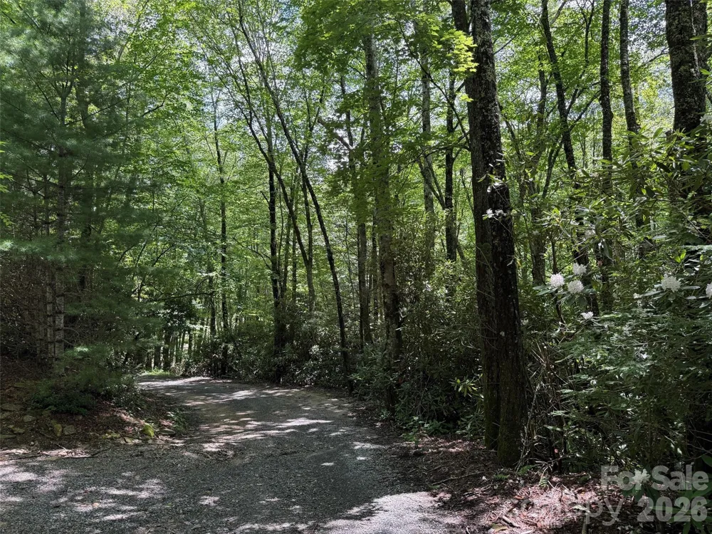 Lot #60 Yonder Trail Maggie Valley, NC 28751