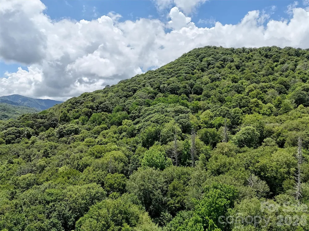 Lot #60 Yonder Trail Maggie Valley, NC 28751