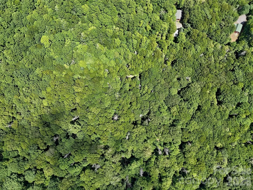 Lot #60 Yonder Trail Maggie Valley, NC 28751