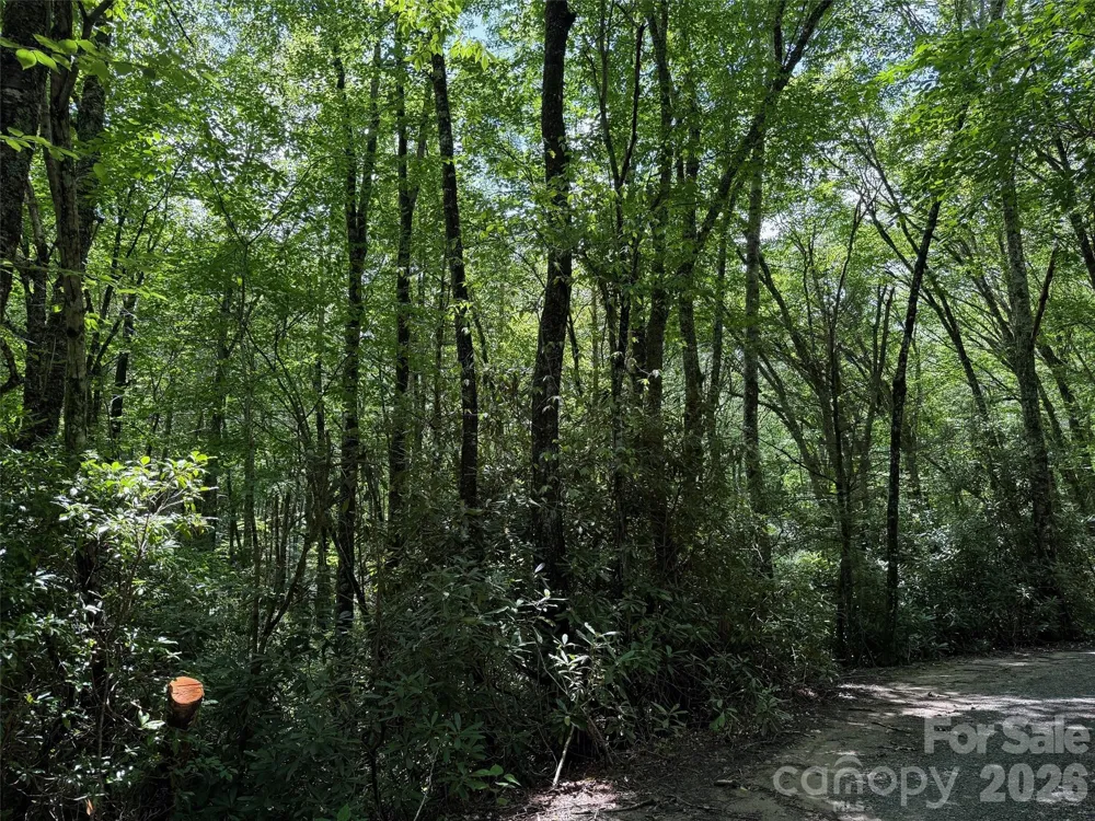 Lot #60 Yonder Trail Maggie Valley, NC 28751
