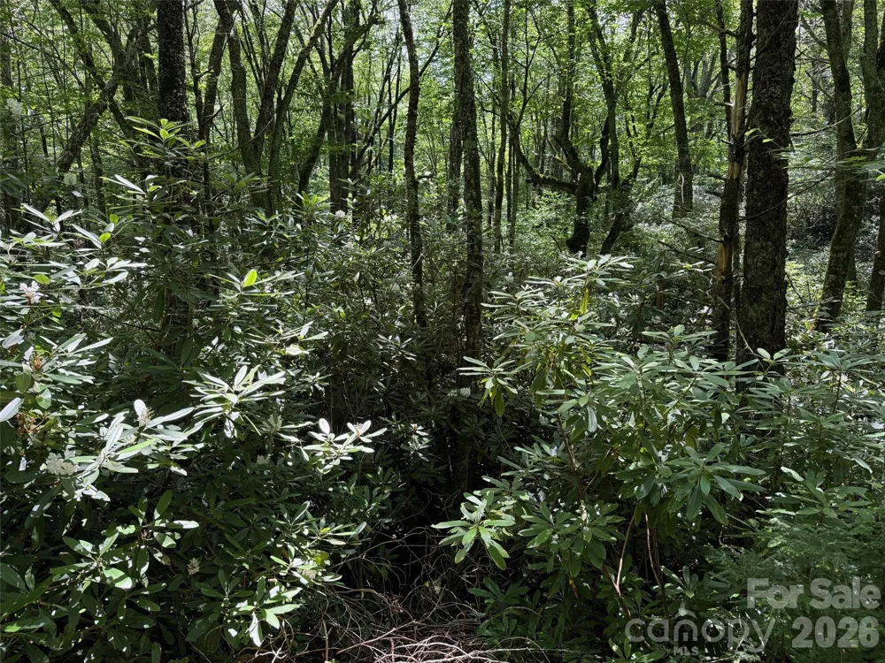 Lot #60 Yonder Trail Maggie Valley, NC 28751