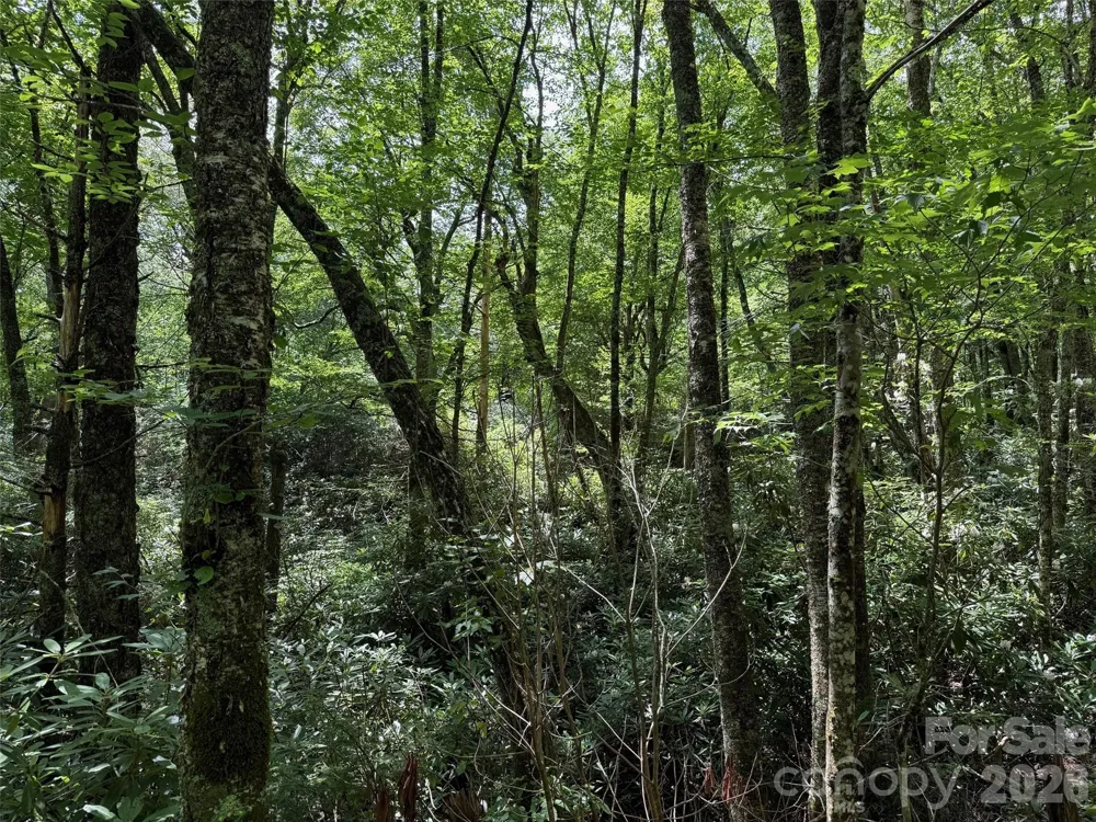 Lot #60 Yonder Trail Maggie Valley, NC 28751
