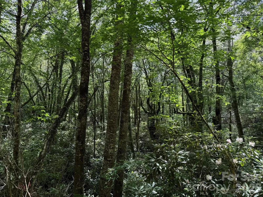 Lot #60 Yonder Trail Maggie Valley, NC 28751