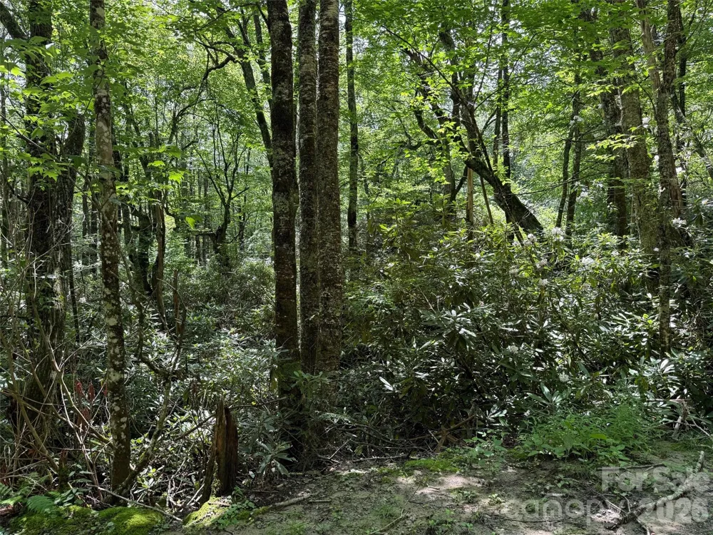 Lot #60 Yonder Trail Maggie Valley, NC 28751