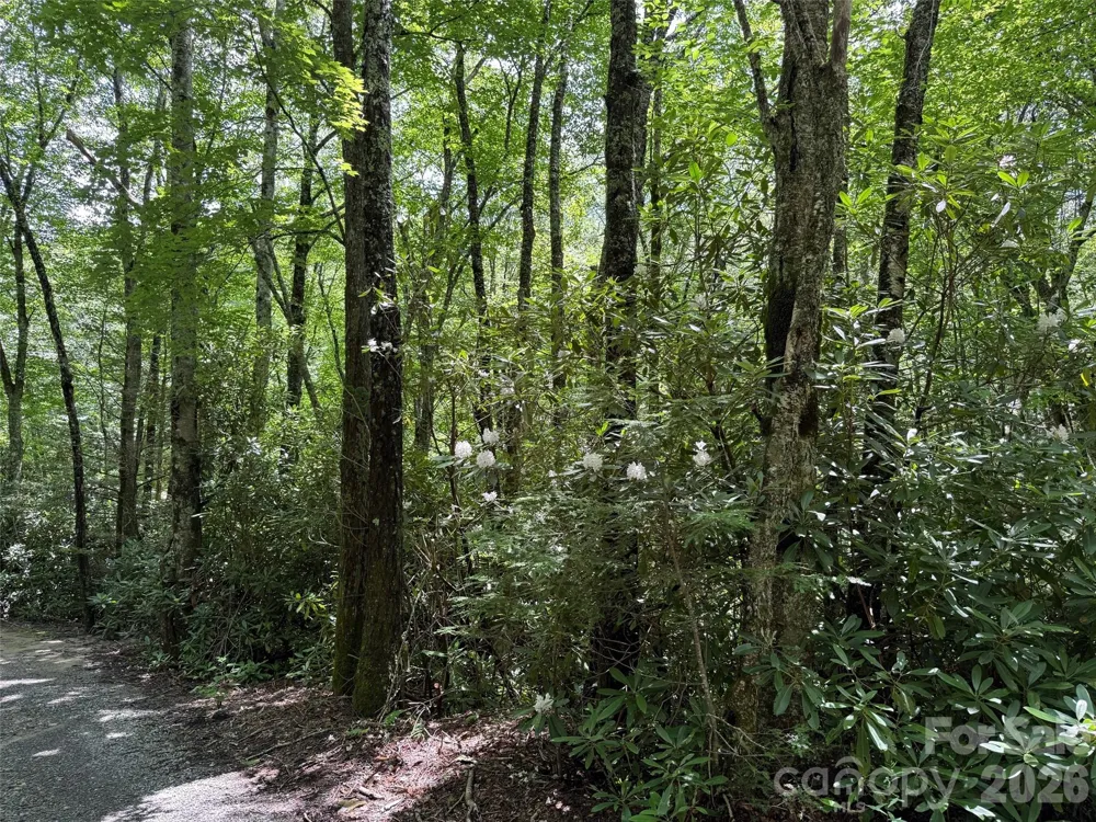 Lot #60 Yonder Trail Maggie Valley, NC 28751