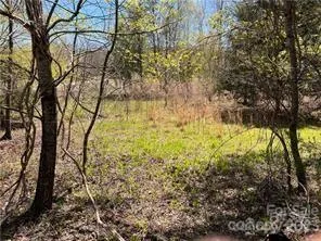 0000 Elliot Lane ##45 & 48 Rutherfordton, NC 28139
