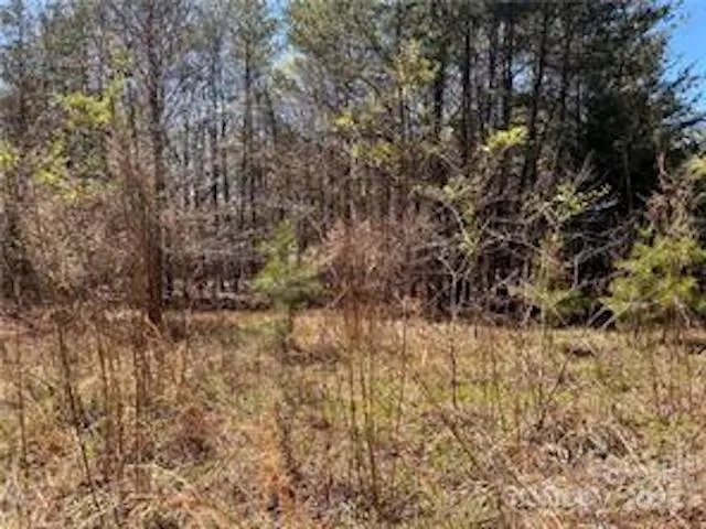 0000 Elliot Lane ##45 & 48 Rutherfordton, NC 28139