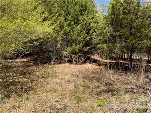 0000 Elliot Lane ##45 & 48 Rutherfordton, NC 28139