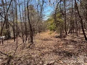 0000 Elliot Lane ##45 & 48 Rutherfordton, NC 28139