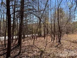0000 Elliot Lane ##45 & 48 Rutherfordton, NC 28139