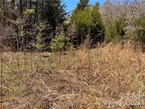 0000 Elliot Lane ##45 & 48 Rutherfordton, NC 28139