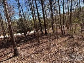 0000 Elliot Lane ##45 & 48 Rutherfordton, NC 28139