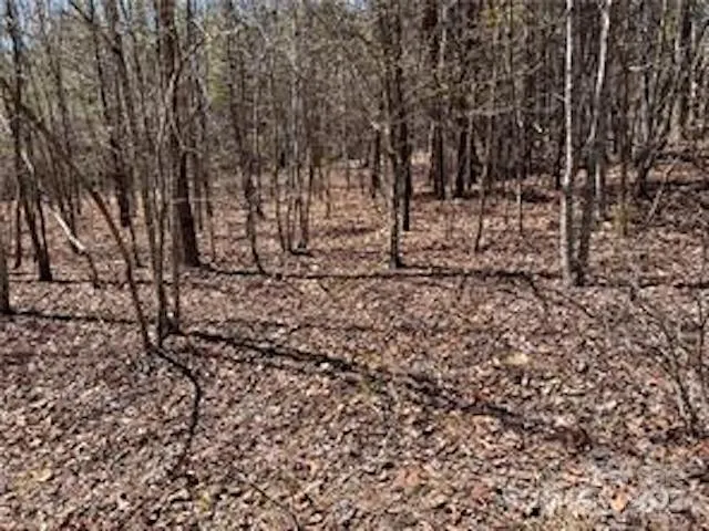 0000 Elliot Lane ##45 & 48 Rutherfordton, NC 28139