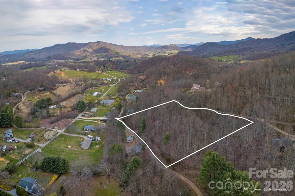 99999 Molasses Way Waynesville, NC 28785
