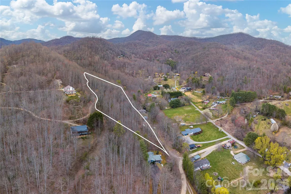 99999 Molasses Way Waynesville, NC 28785