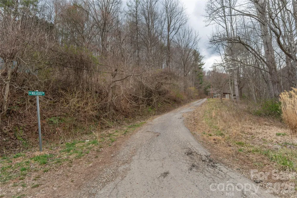 99999 Molasses Way Waynesville, NC 28785
