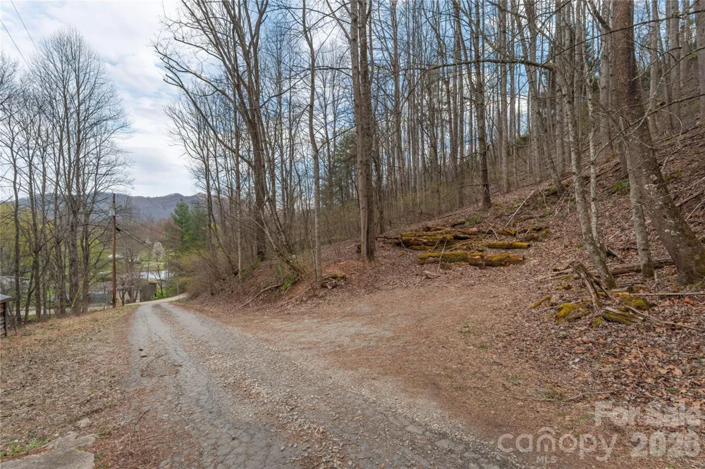 99999 Molasses Way Waynesville, NC 28785