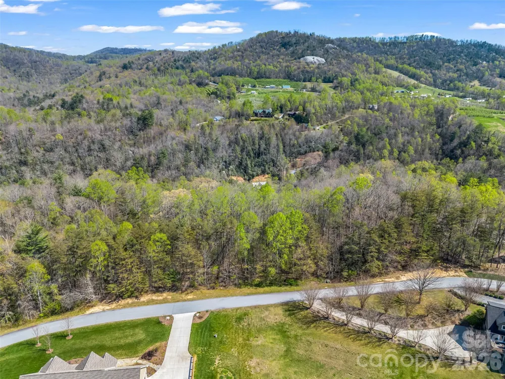 83 Sunny Morning Court Hendersonville, NC 28792