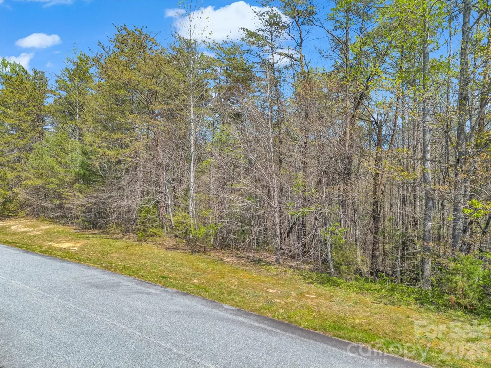 83 Sunny Morning Court Hendersonville, NC 28792