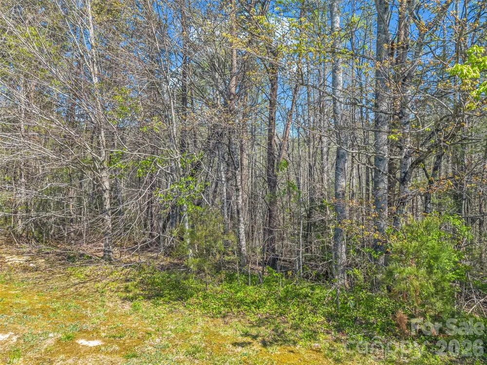 83 Sunny Morning Court Hendersonville, NC 28792