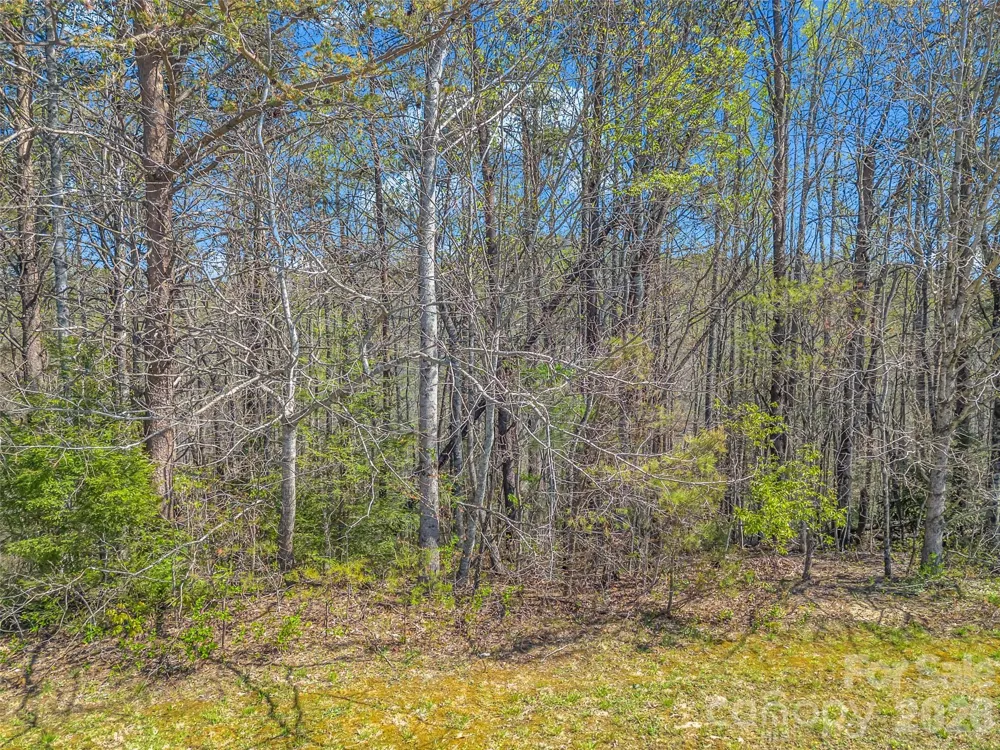 83 Sunny Morning Court Hendersonville, NC 28792