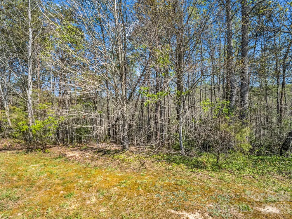 83 Sunny Morning Court Hendersonville, NC 28792