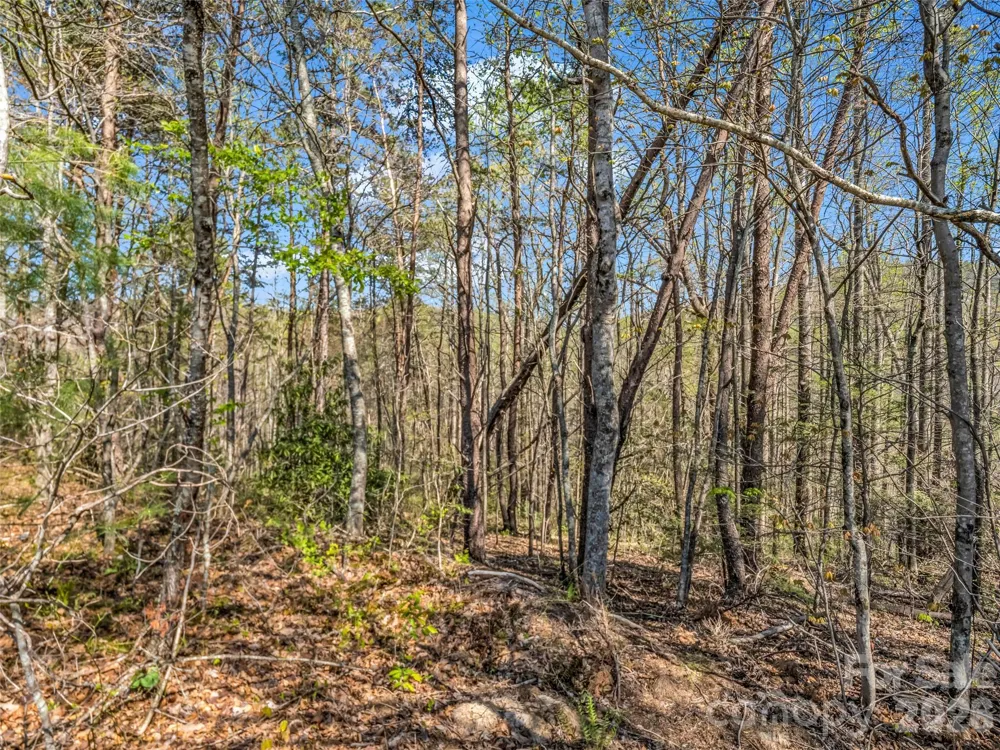 83 Sunny Morning Court Hendersonville, NC 28792