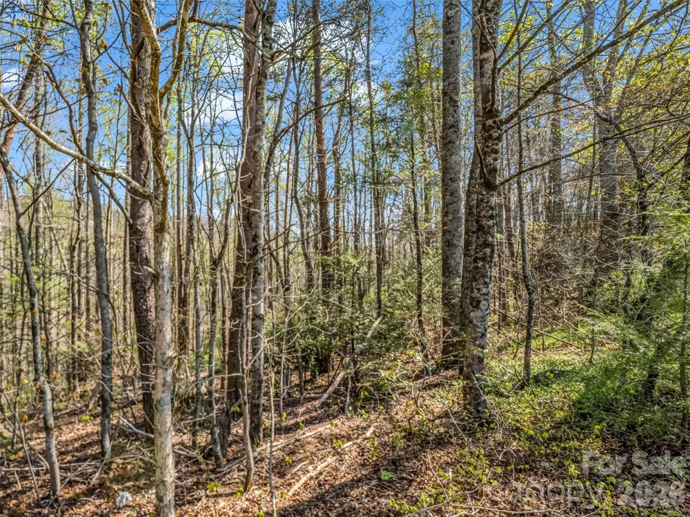 83 Sunny Morning Court Hendersonville, NC 28792