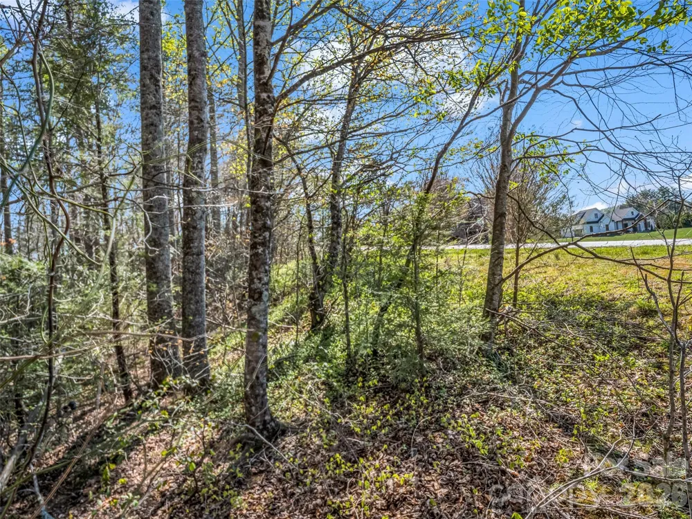 83 Sunny Morning Court Hendersonville, NC 28792