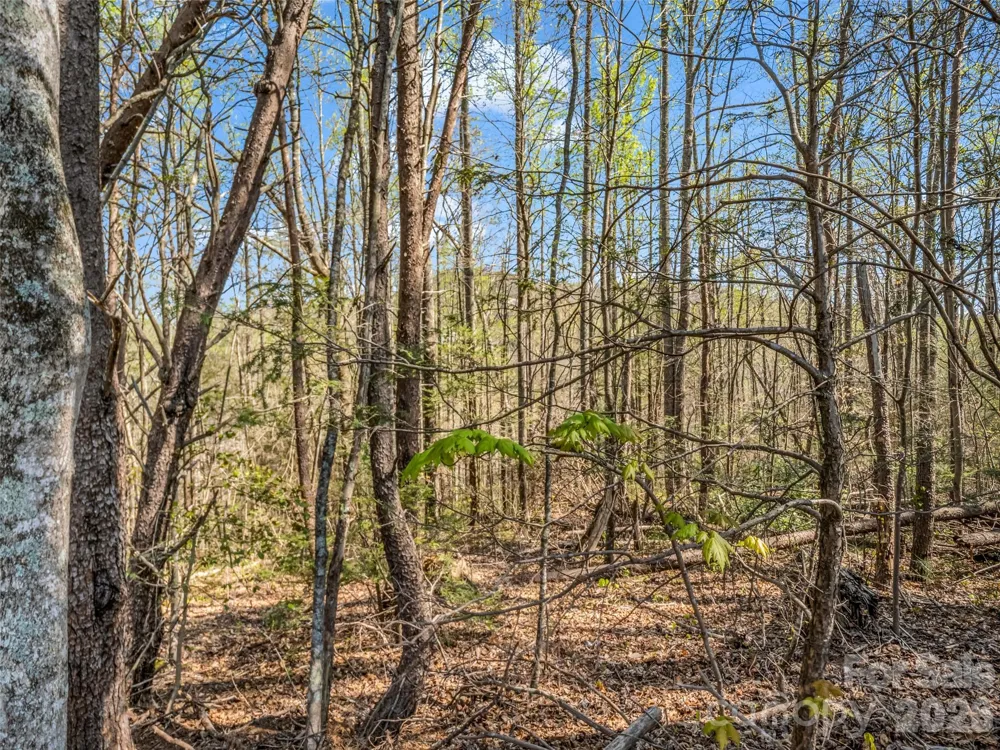 83 Sunny Morning Court Hendersonville, NC 28792