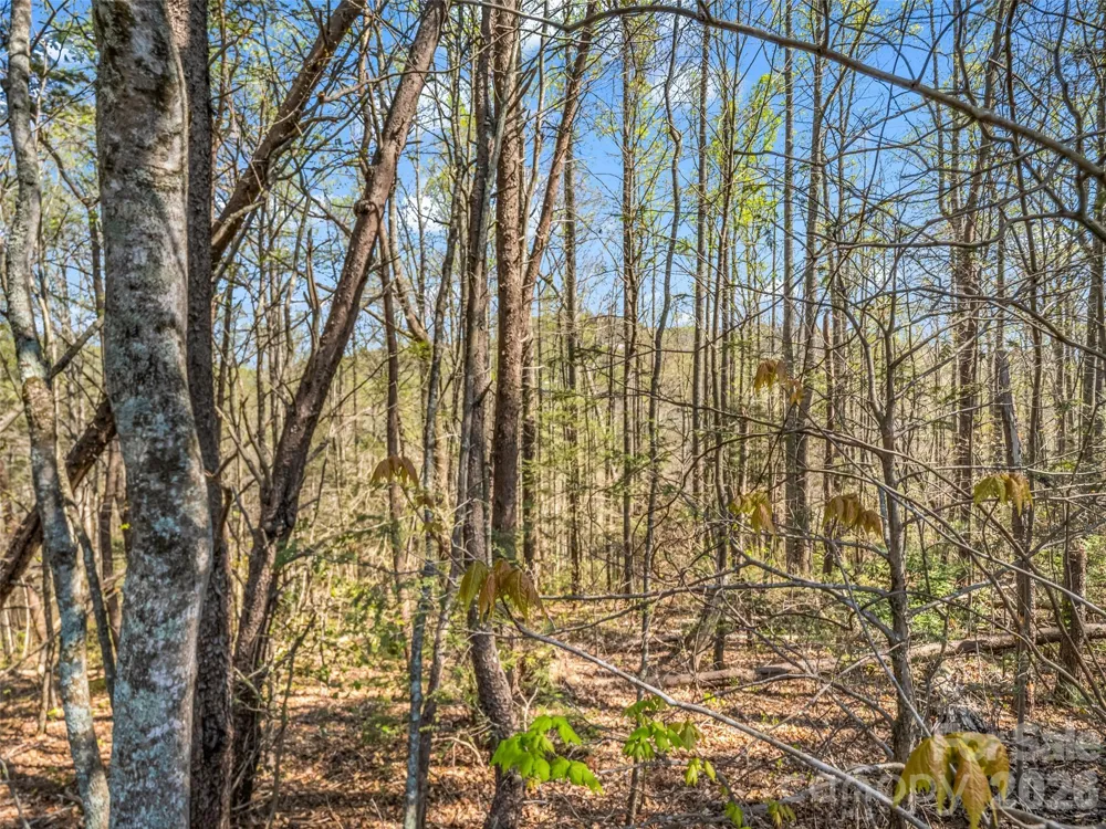 83 Sunny Morning Court Hendersonville, NC 28792