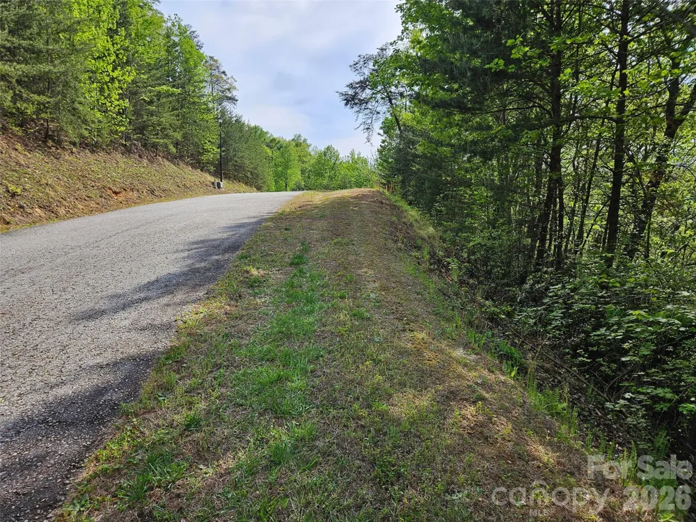 0 High Pines Loop #101 Lake Lure, NC 28746
